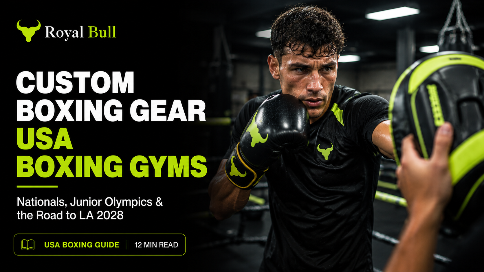 Custom boxing gear for USA Boxing gyms gloves focus pads and training kit for the Road to LA 2028 Royal Bull